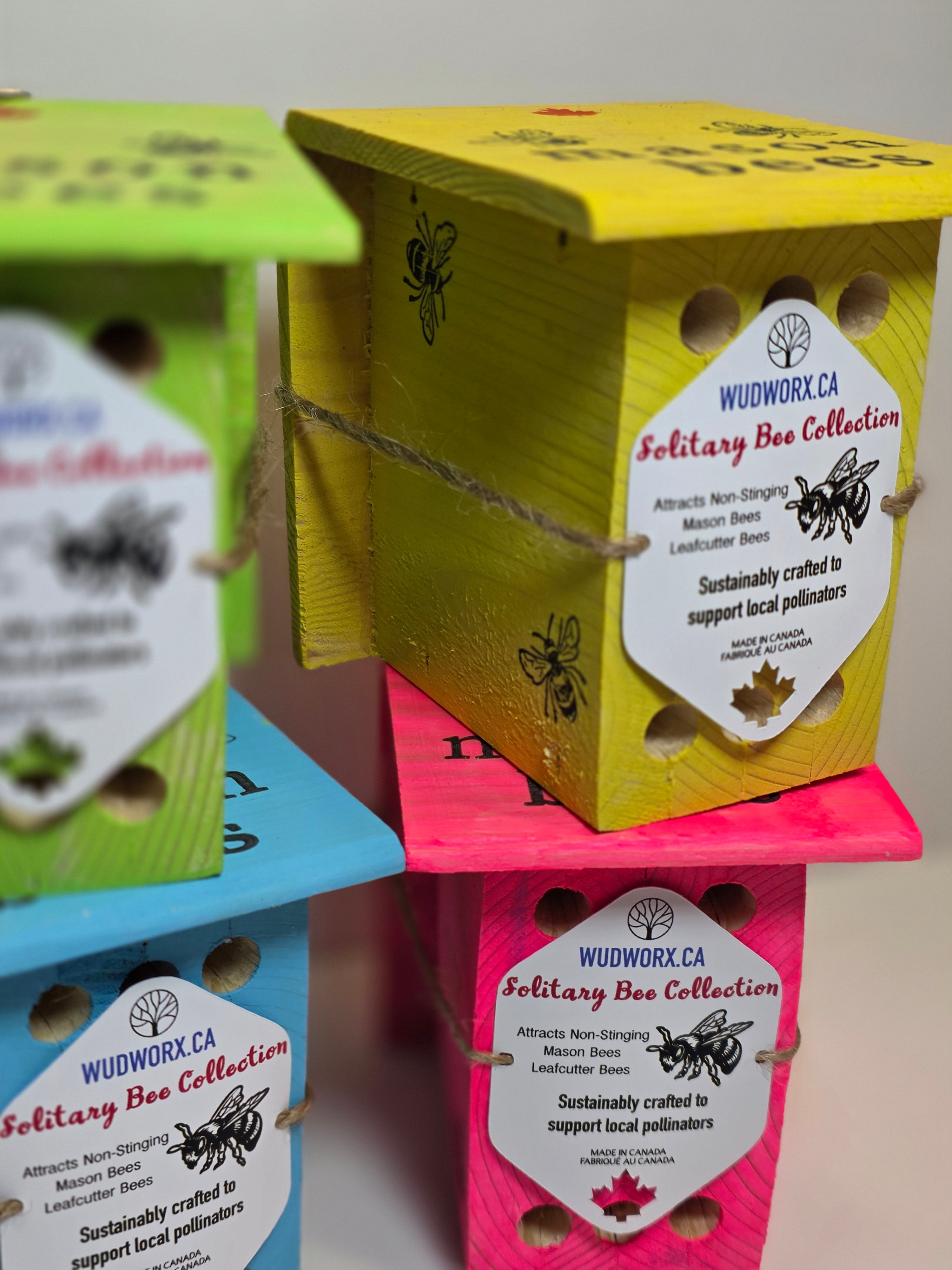 Solitary Mason Bee Home. 