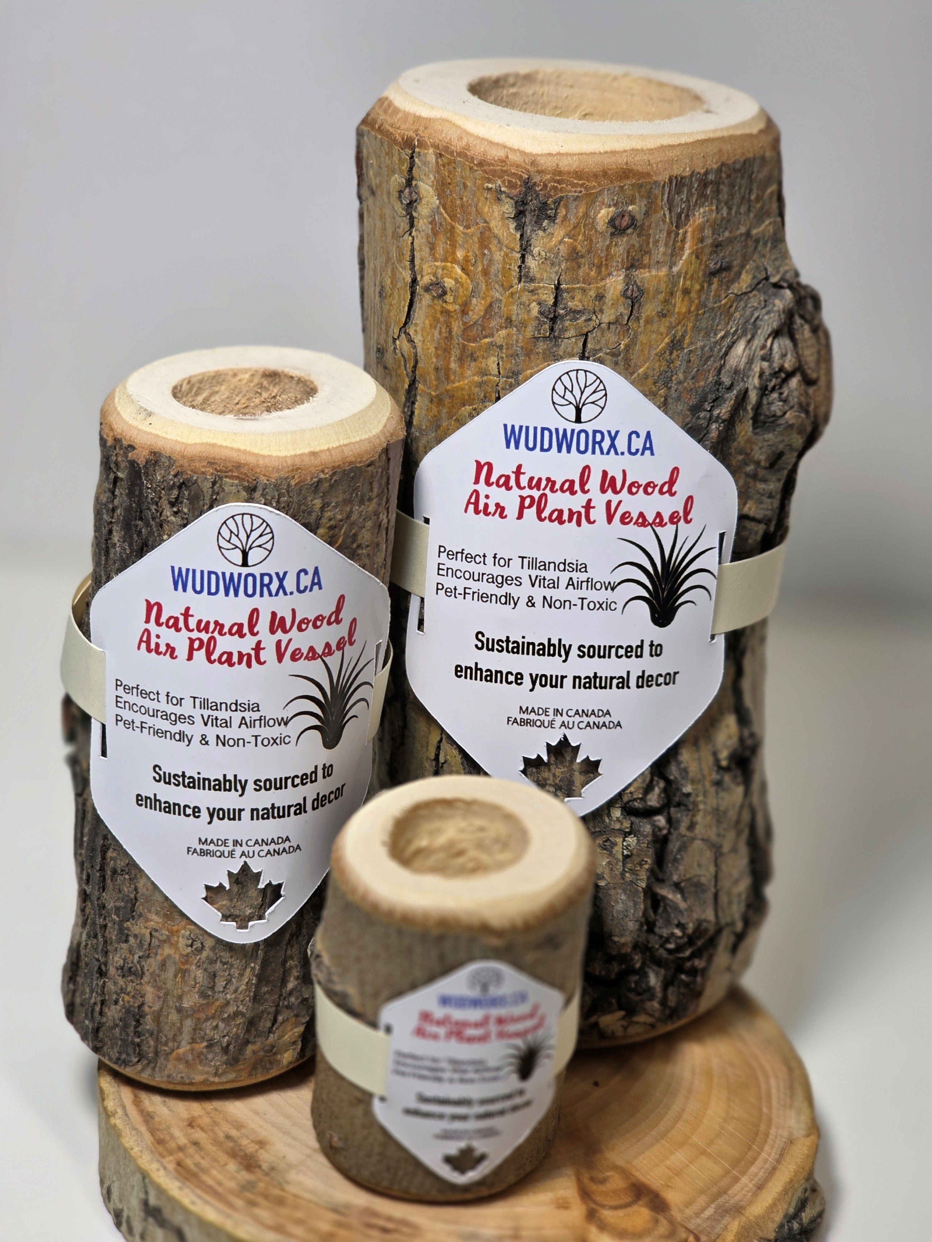 Three natural wood air plant vessels with visible Wudworx.ca labels on a light gray background.