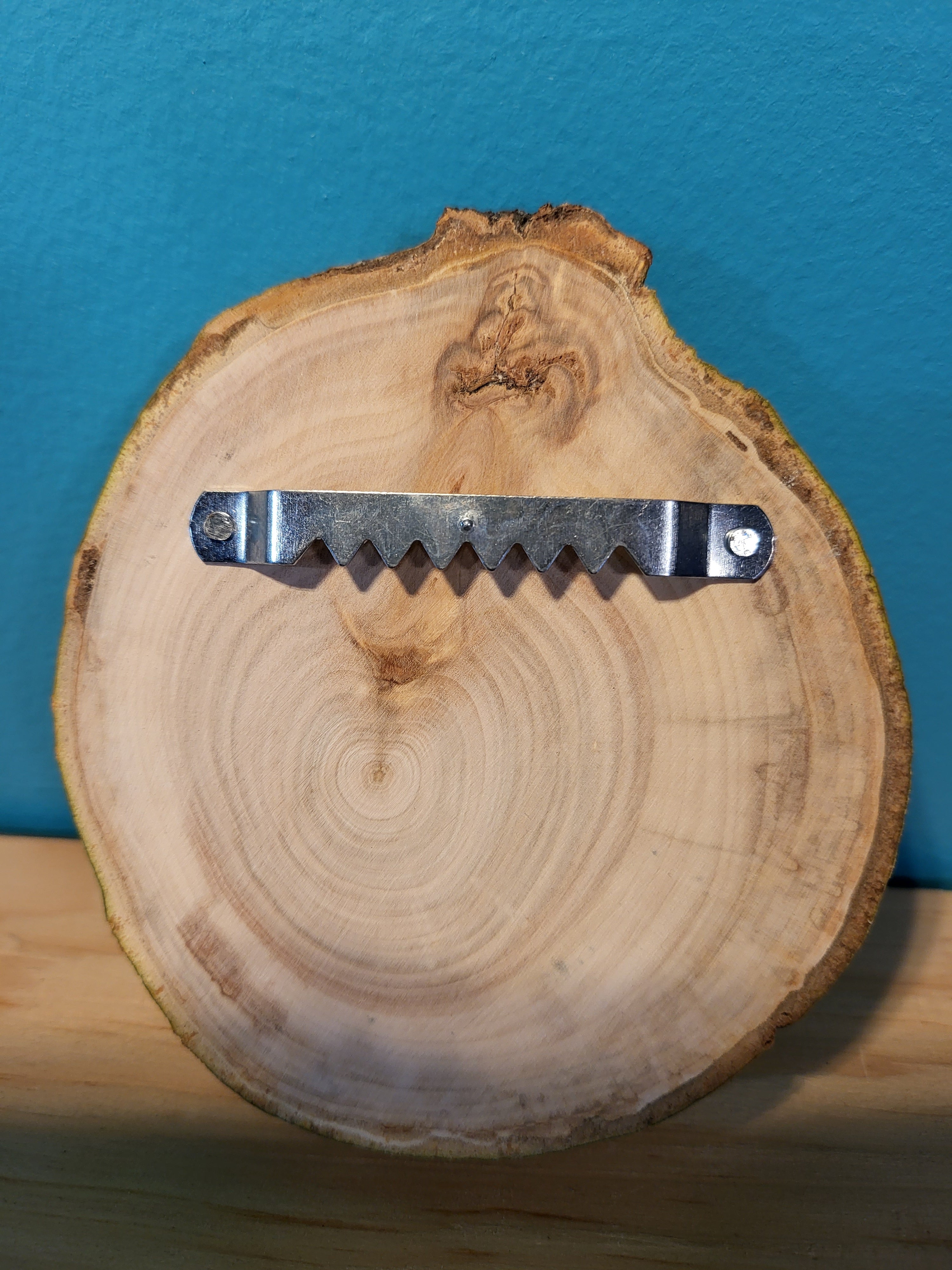 Main Image: Set of two wall-mounted wood slice air plant holders in yellow and grey with green plants.