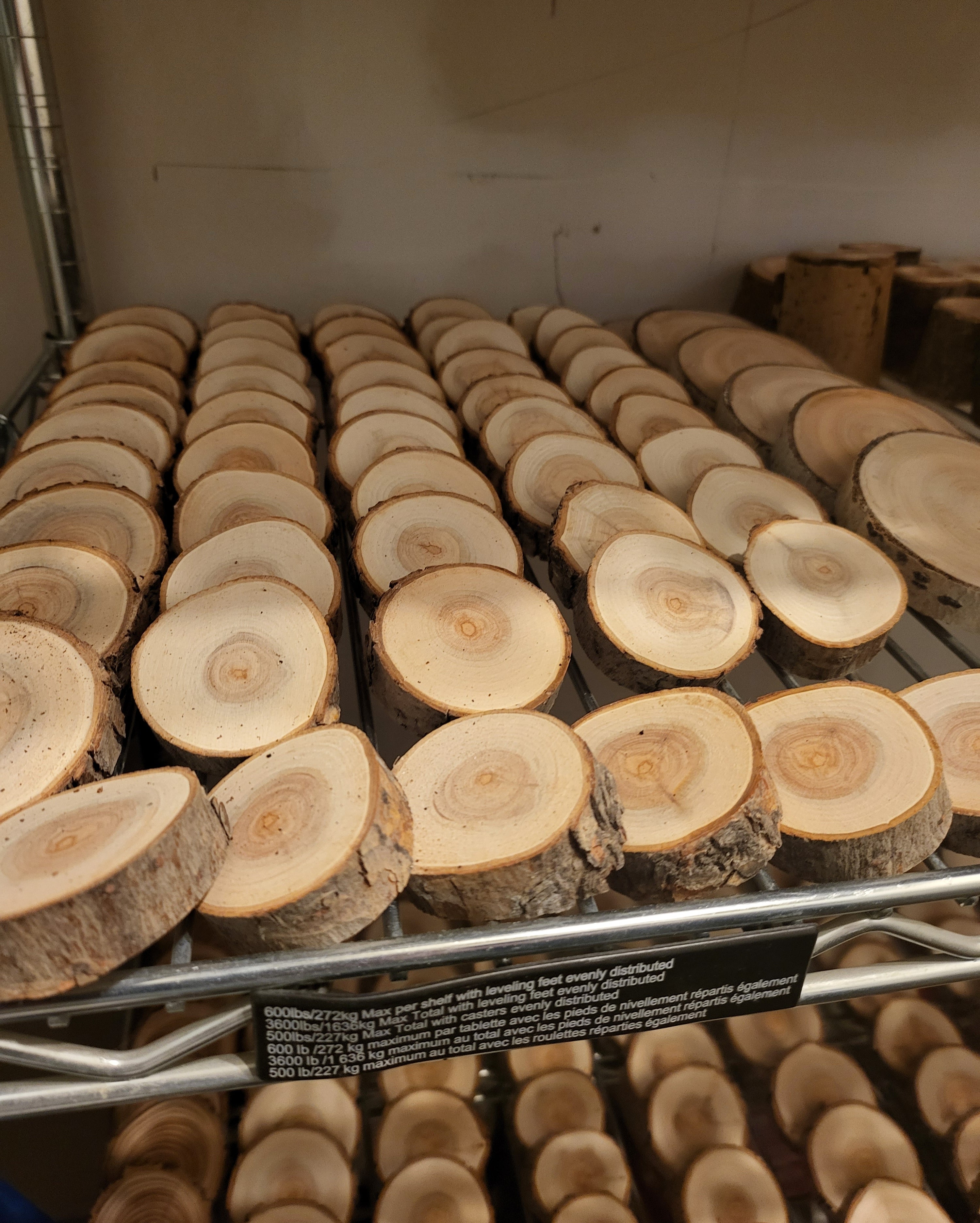 Unfinished natural Canadian wood slice, 0.5" thick with authentic bark-on edges and smooth-sanded face showing organic growth rings, ideal for DIY crafts and retail displays.