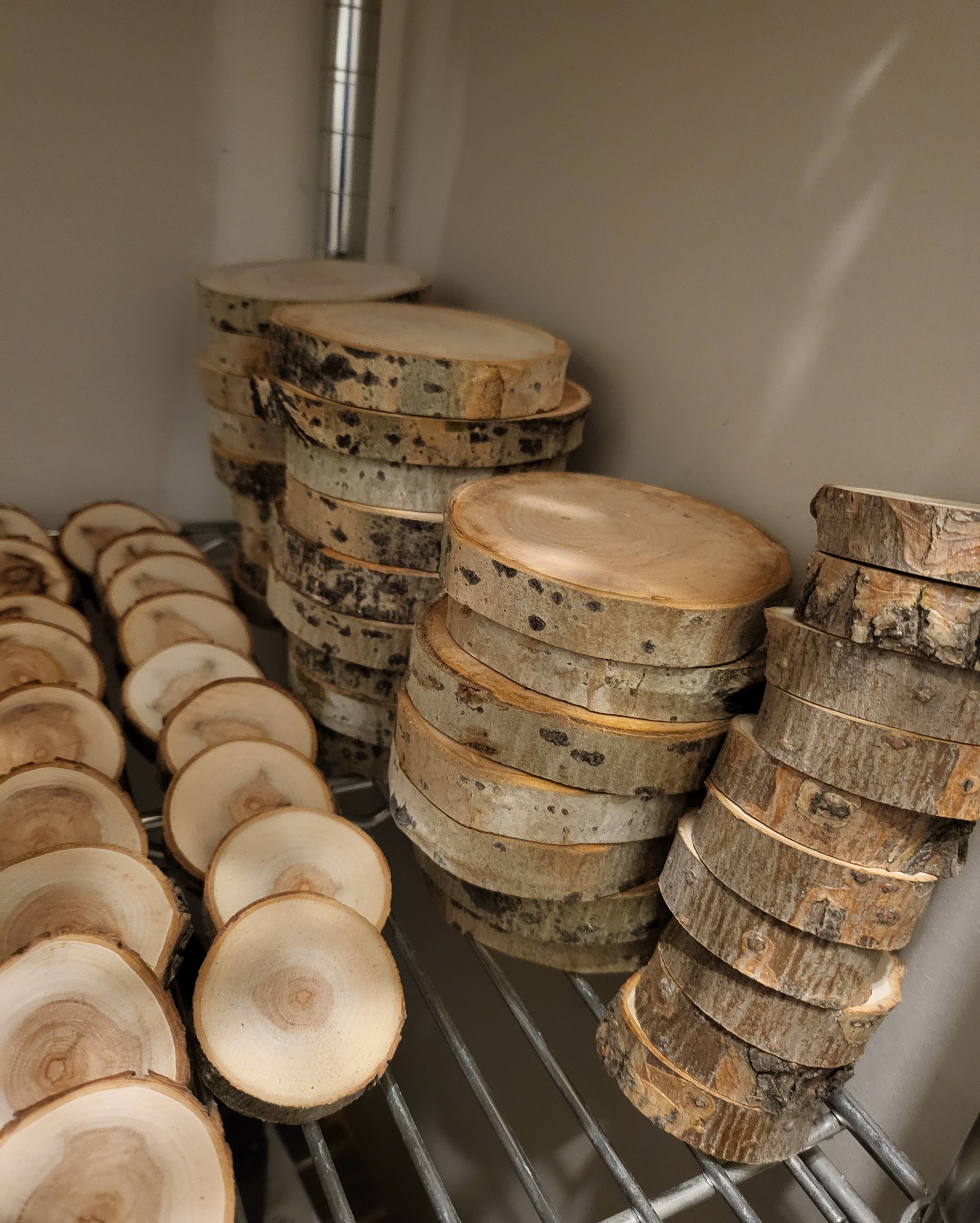 Unfinished natural Canadian wood slice, 0.5" thick with authentic bark-on edges and smooth-sanded face showing organic growth rings, ideal for DIY crafts and retail displays.