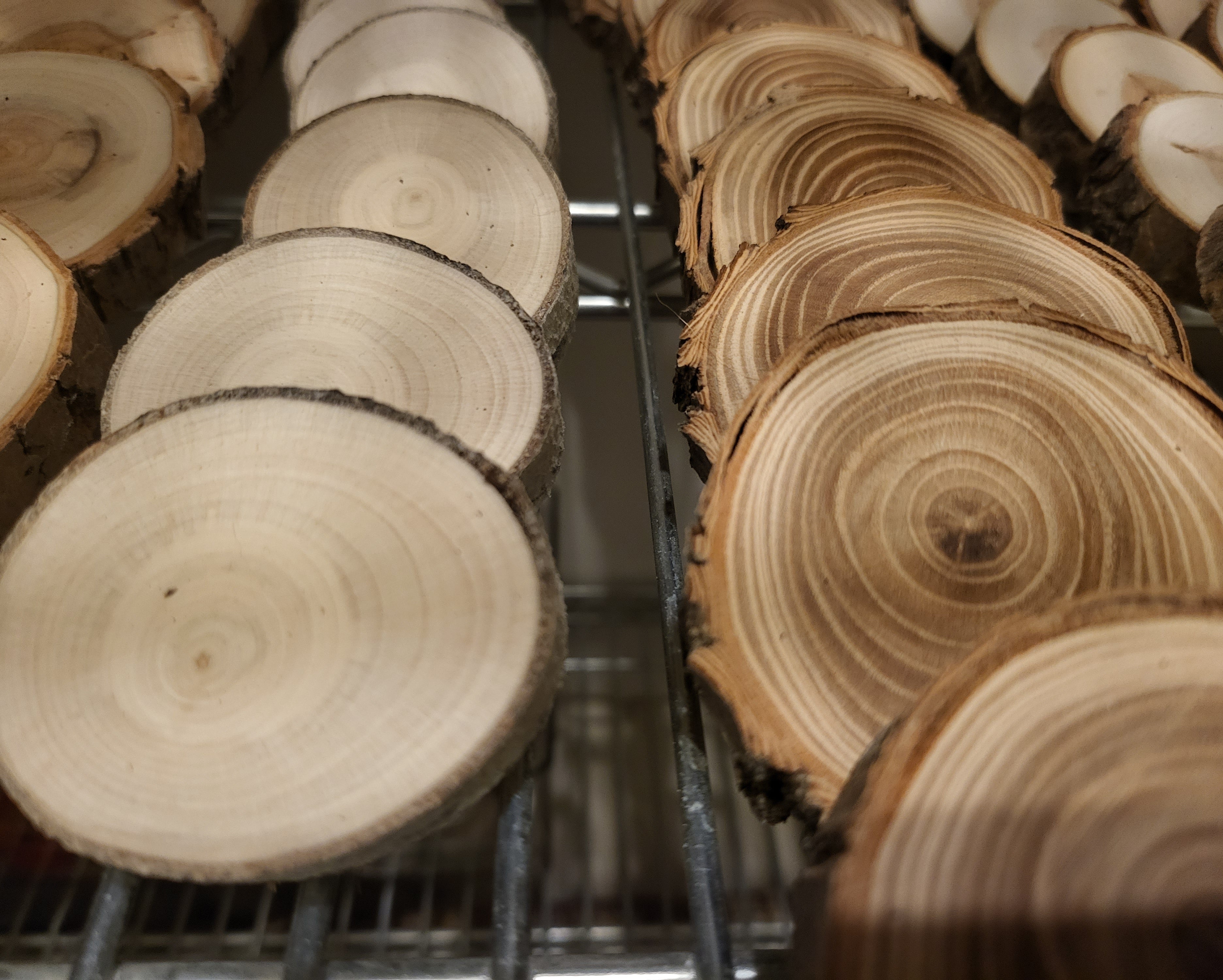 Unfinished natural Canadian wood slice, 0.5" thick with authentic bark-on edges and smooth-sanded face showing organic growth rings, ideal for DIY crafts and retail displays.