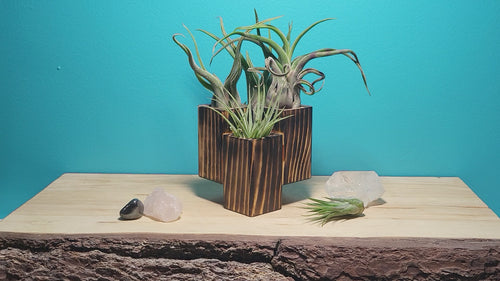 Shop our unique "hovering" airplant holder. Hand-charred Canadian wood brings out deep natural grains. Holds 4 plants. 100% handmade in Winnipeg. Duty-free to USA.