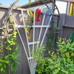 Garden Fan Trellises