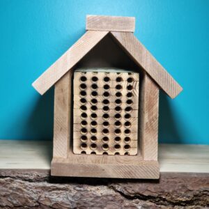 Cedar Professional Bee Condo