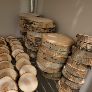 Wood Slices (Mixed Bundle)
