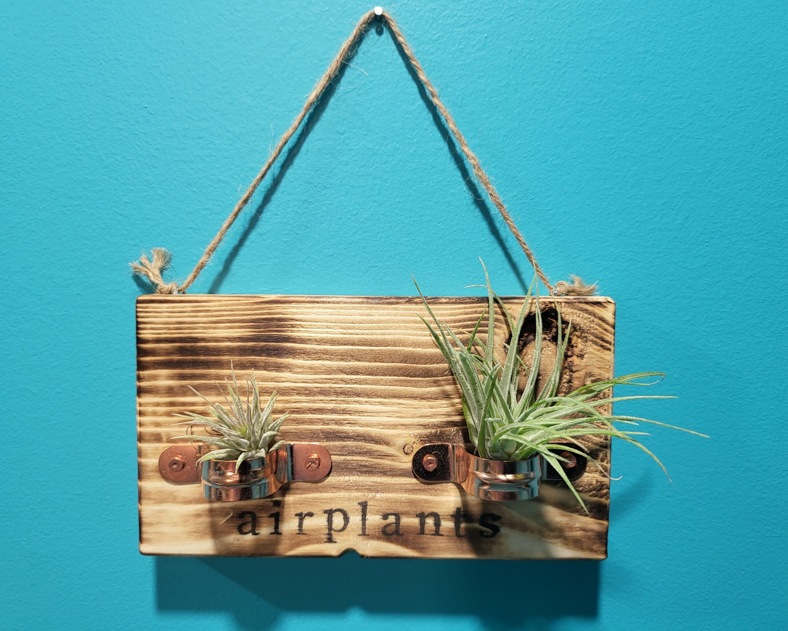 Double Air Plant Holder (Twin) - Image 2