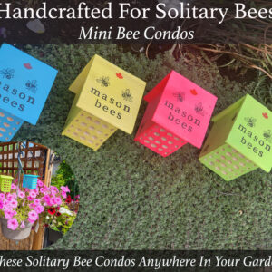 Mini Bee Condos (Set of 4)