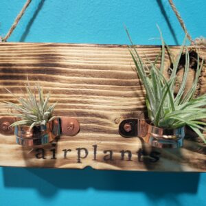Double Air Plant Holder (Twin)