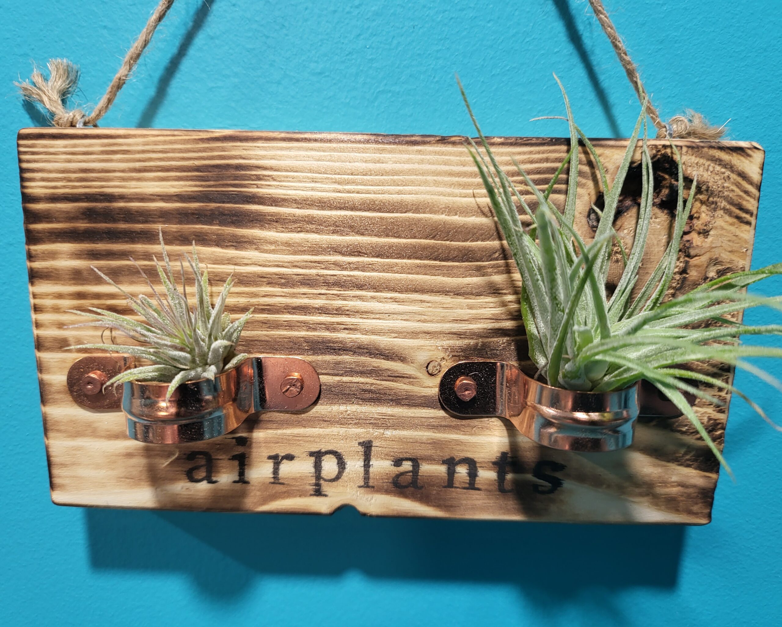 Double Air Plant Holder (Twin)
